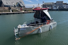 vedette_1-scaled vedette_1-scaled